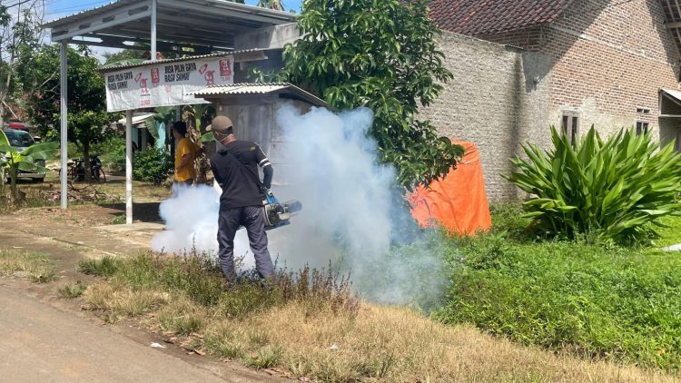 Cegah Lonjakan DBD, Puskesmas Kalirejo Pesawaran Lakukan Fogging dan Edukasi Warga
