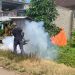 Cegah Lonjakan DBD, Puskesmas Kalirejo Pesawaran Lakukan Fogging dan Edukasi Warga