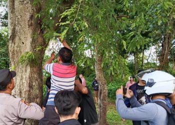 Pemuda Pringsewu Ditemukan Gantung Diri di Pohon Asam, Warga Gempar