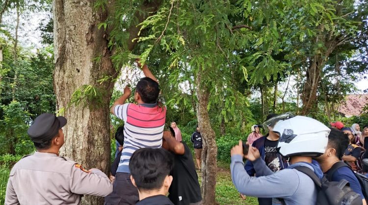 Pemuda Pringsewu Ditemukan Gantung Diri di Pohon Asam, Warga Gempar