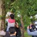 Pemuda Pringsewu Ditemukan Gantung Diri di Pohon Asam, Warga Gempar