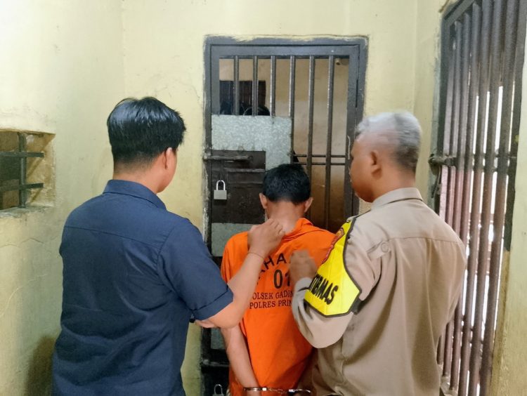 Menyamar Jadi Petugas PLN, Pria Asal Bekasi Dibekuk Warga Usai Curi Kabel Listrik