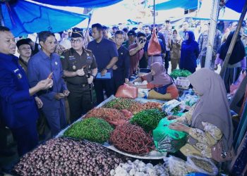 Bupati Pringsewu Tinjau Pasar Banyumas: Pastikan Ketersediaan Bahan Pokok Jelang Idulfitri