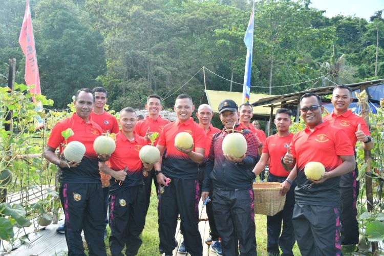 Danbrigif 4 Mar/BS Pimpin Panen Melon di Yonif 7 Mar: Wujudkan Kemandirian Pangan