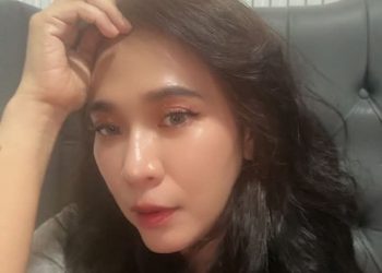 Audit Anggaran Desa Palas, Pengamat Hukum Desak Transparansi dan Akuntabilitas