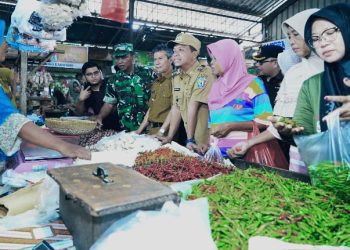 Bupati Pringsewu Pantau Ketersediaan Bahan Pokok di Pasar Gading, Pastikan Stok Aman Jelang Lebaran