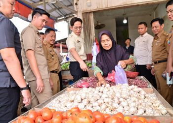 Jelang Idulfitri, Bupati Lampung Selatan Pastikan Harga Bahan Pokok Stabil