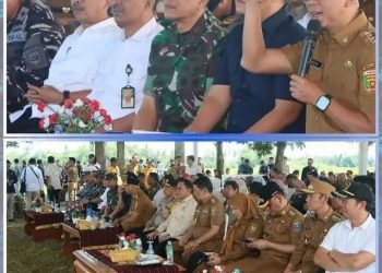 Wabup Lampung Utara Hadiri Panen Raya Serentak, Tegaskan Dukungan untuk Kesejahteraan Petani