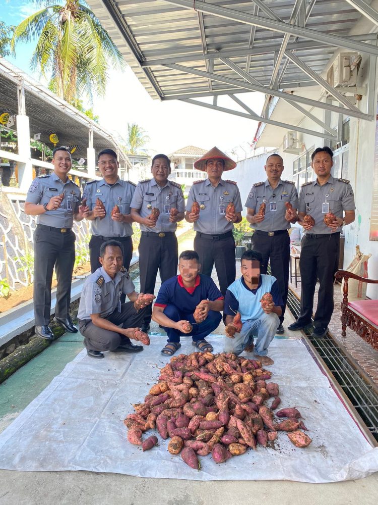 Lapas Kalianda Panen Ubi Bersama Warga Binaan, Dukung Ketahanan Pangan dan Pemberdayaan
