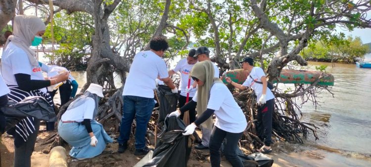 PT ASDP Bakauheni Rayakan HUT Ke-52 dengan Gelar Ocean Clean Up Day di Pantai Mangrove