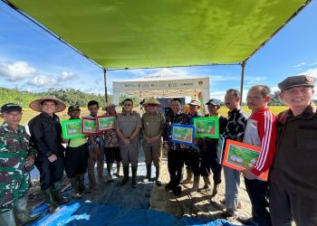 Tanggamus Gelar Panen Raya Padi Serentak, Dorong Ketahanan Pangan Nasional