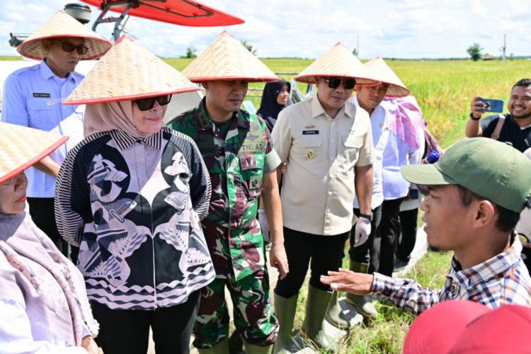Lampung Selatan Ikut Sukseskan Panen Raya Padi Serentak, Dukung Swasembada Pangan Nasional