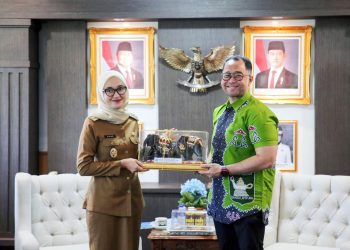 Wagub Lampung Sambut Audiensi STIKes Baitul Hikmah: Komitmen Bersama Majukan Pendidikan Kesehatan