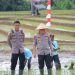 Kapolda Lampung Irjen Helmy Santika Tanam Padi Bareng Petani, Tunjukkan Dukungan Penuh terhadap Ketahanan Pangan Nasional