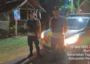 Jaga Malam di Tegineneng, Polisi Sisir Titik Rawan Antisipasi C3 dan Kejahatan Jalanan