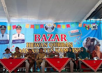 Bazar Hewan Qurban 2025 Resmi Dibuka di Tanggamus: 300 Ekor Kambing Ditawarkan Mulai Rp2 Juta