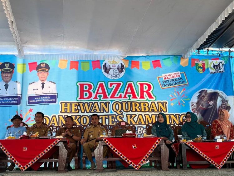 Bazar Hewan Qurban 2025 Resmi Dibuka di Tanggamus: 300 Ekor Kambing Ditawarkan Mulai Rp2 Juta
