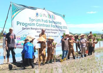 Pringsewu dan Food Station Jakarta Jalin Kerjasama Perkuat Ketahanan Pangan Nasional