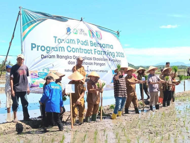 Pringsewu dan Food Station Jakarta Jalin Kerjasama Perkuat Ketahanan Pangan Nasional
