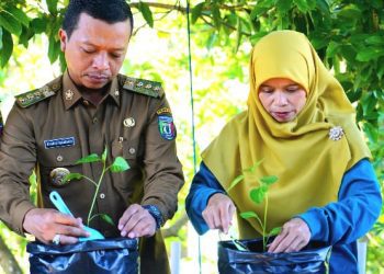 Bupati Pringsewu Canangkan Gerakan Tanam Cabai Serentak untuk Stabilisasi Harga dan Ketahanan Pangan