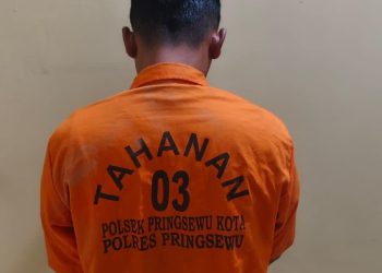 Modus Jual Beli Mobil, Pegawai Honorer di Pringsewu Dibekuk Polisi Usai Gelapkan Uang Rp50 Juta