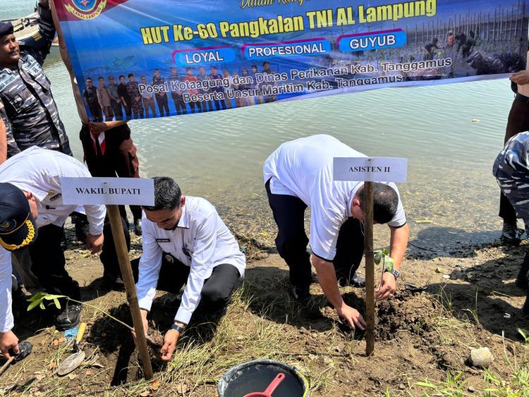 Wabup Tanggamus Tanam Mangrove di Pematang Sawa: Langkah Nyata Jaga Pesisir, Lawan Abrasi