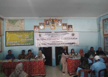 Desa Batu Menyan Mantapkan Swasembada Jagung dan Bebek Peking, Dukung Ketahanan Pangan Nasional