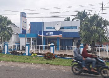 Pimpinan Cabang BRI Pringsewu Lakukan Investigasi Terkait Somasi Sertifikat Nasabah di Unit Wonosobo