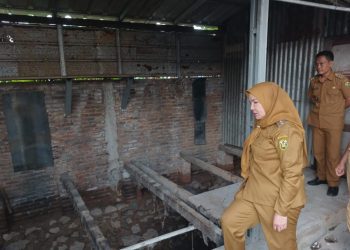 Viral di Medsos, Wali Kota Eva Tinjau Lokasi Banjir dan Temukan Bangunan Liar di Atas Sungai