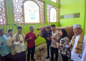 Gubernur Lampung Serahkan Sapi Qurban dari Presiden RI ke Masjid di Bandar Lampung