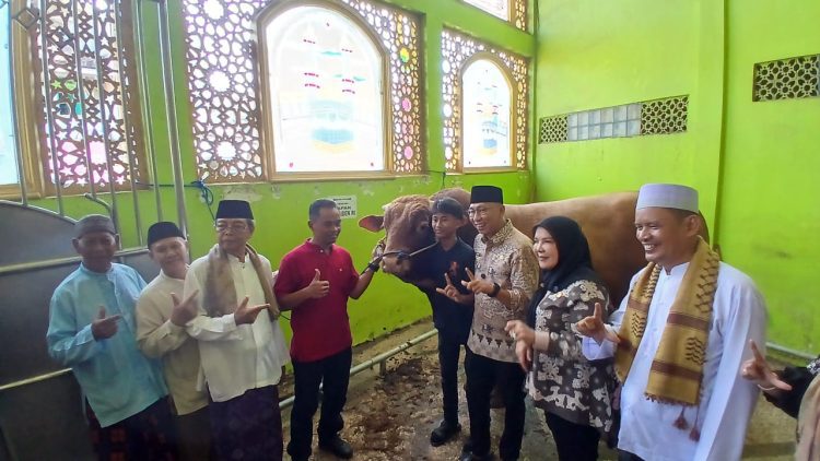 Gubernur Lampung Serahkan Sapi Qurban dari Presiden RI ke Masjid di Bandar Lampung