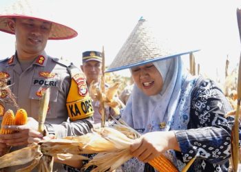 Bupati Pringsewu Lantik 38 Pejabat Baru, Dorong Pelayanan Publik dan Profesionalisme ASN