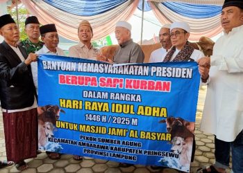 Bupati Pringsewu Jadi Imam, Khatib, dan Juru Sembelih di Hari Raya Idul Adha