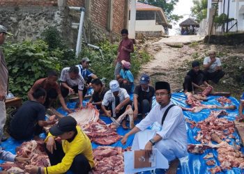 Menebar Keberkahan, Pondok Tahfizh Menara Sembilan Bagikan Ratusan Paket Daging Kurban