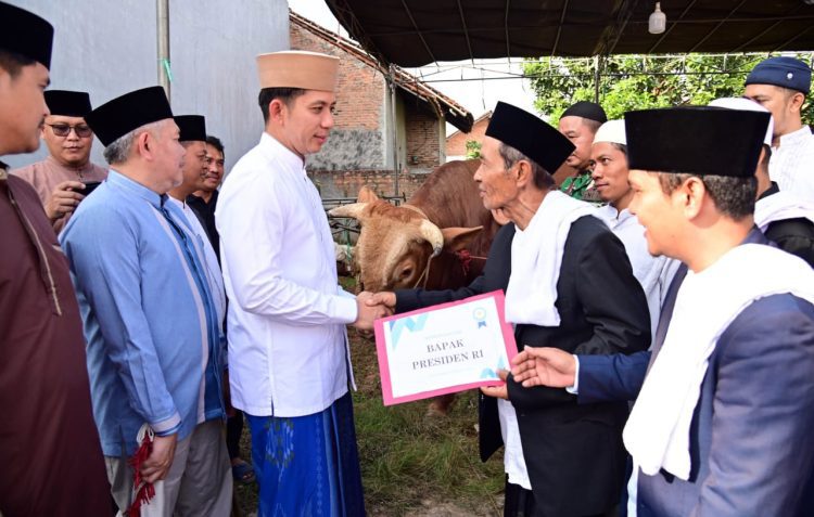 Sapi Kurban dari Presiden Jadi Simbol Kasih di Tanah Luhur
