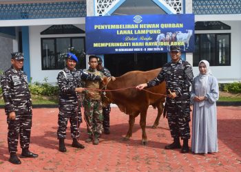 Lanal Lampung Tebar Kepedulian Lewat Qurban: Tujuh Sapi dan Tiga Kambing Disalurkan di Momen Idul Adha