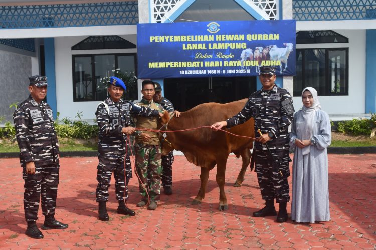 Lanal Lampung Tebar Kepedulian Lewat Qurban: Tujuh Sapi dan Tiga Kambing Disalurkan di Momen Idul Adha