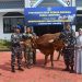Lanal Lampung Tebar Kepedulian Lewat Qurban: Tujuh Sapi dan Tiga Kambing Disalurkan di Momen Idul Adha