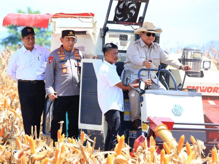 Presiden Prabowo Apresiasi Panen Raya Jagung: Kolaborasi Polri dan Petani Bukti Nyata Kemandirian Pangan