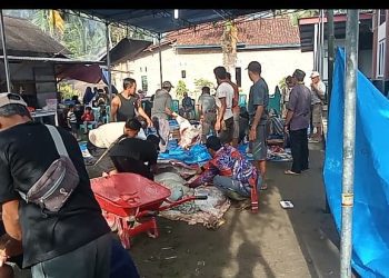 Warga Pekon Srikuncoro Semarakkan Idul Adha, 46 Hewan Kurban Disalurkan ke 650 KK