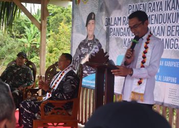 Lanal Lampung dan Pemkab Tanggamus Gelar Panen Raya Ikan Nila, Wujud Nyata Dukung Ketahanan Pangan Daerah