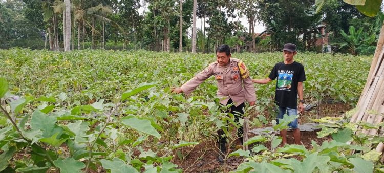 Bhabinkamtibmas Polres Pesawaran Aktif Pantau Ketahanan Pangan Warga, Dorong Kemandirian Lewat Pekarangan dan Peternakan