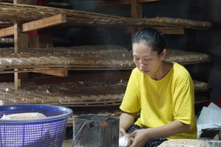 Pengrajin Siap Genjot Produksi Tempe Dukung Program Makan Bergizi Gratis