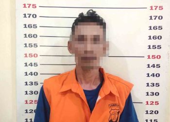 Curanmor Sapi di Kalianda Terungkap, Pelaku Ditangkap dalam Hitungan Jam