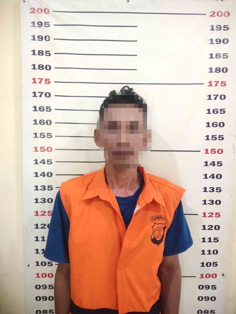 Curanmor Sapi di Kalianda Terungkap, Pelaku Ditangkap dalam Hitungan Jam