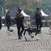 Polri Perkenalkan Robot Humanoid dan K9 di Hari Bhayangkara ke-79: Langkah Berani Menuju Polisi Masa Depan