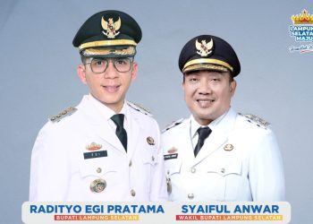 Lampung Selatan Masuk Tiga Besar Daerah Paling Memuaskan Versi Survei Litbang RLMG 2025