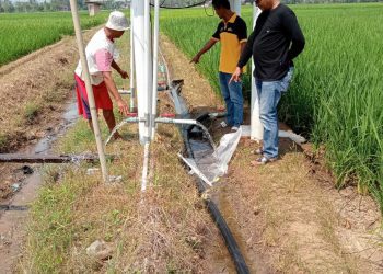 Petani Bumiratu Apresiasi Sumur Bor Pemerintah Desa: Air Mengalir, Panen Berhasil