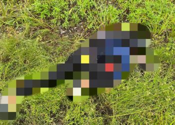 Satgas Damai Cartenz Selidiki Pembunuhan Brutal di Yahukimo, Korban Diduga Dihabisi KKB