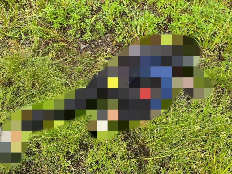 Satgas Damai Cartenz Selidiki Pembunuhan Brutal di Yahukimo, Korban Diduga Dihabisi KKB